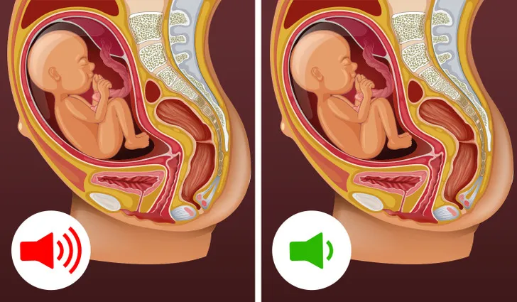 7 sự thật thú vị về thai nhi mà không phải ai cũng biết - Ảnh 7.