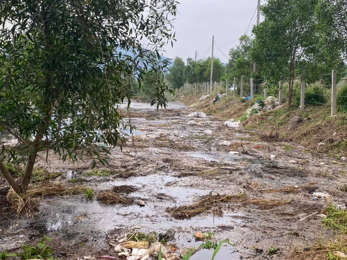 Bà Rịa - Vũng Tàu: Ngăn ngừa ô nhiễm môi trường sau sự cố vỡ hồ chứa chất thải - Ảnh 1.