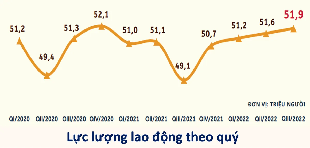 Hơn 1 triệu người thất nghiệp, thiếu lao động cục bộ tại nhiều tỉnh thành - Ảnh 2.