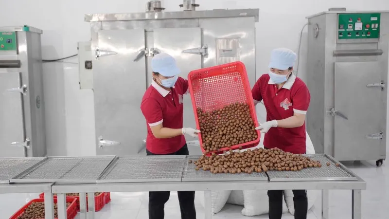 Rộng cửa xuất khẩu mắc ca ra thế giới - Ảnh 1.