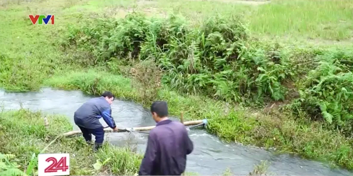 Giáo viên vùng cao - những người gieo mầm xanh - Ảnh 3.