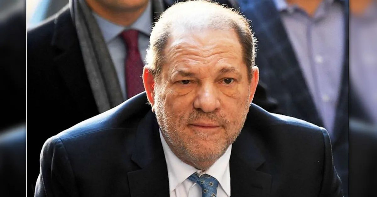 Bộ phim về bê bối tình dục của ông trùm Hollywood Harvey Weinstein kém thu hút tại phòng vé - Ảnh 2.