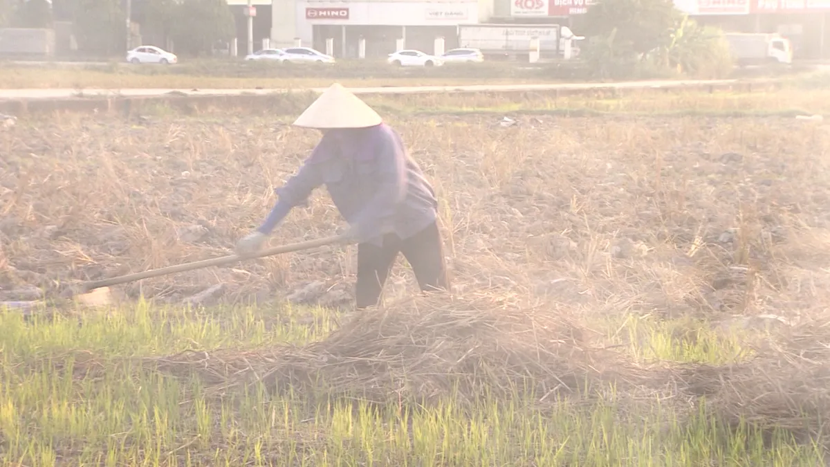 Khói đốt rơm rạ lại bủa vây sân bay Nội Bài - Ảnh 3.