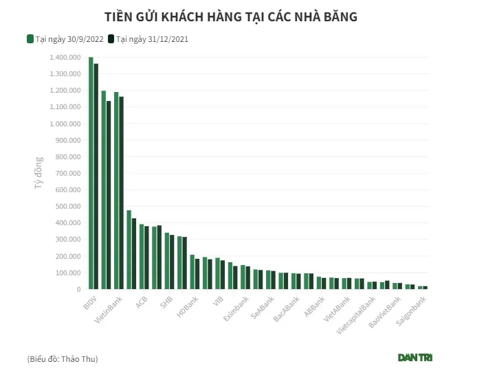 Ngân hàng nào đang hút tiền gửi mạnh nhất? - Ảnh 1.