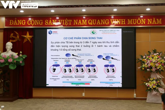 Phát hiện ca song thai cùng trứng, khác kiểu hình và kiểu gen ở Việt Nam - Ảnh 3. Phát hiện ca song thai cùng trứng, khác kiểu hình và kiểu gen ở Việt Nam - Ảnh 3.