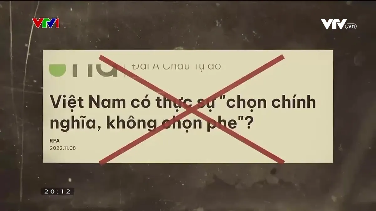 Phản bác những luận điệu chống phá, xuyên tạc đường lối đối ngoại của Việt Nam - Ảnh 1.