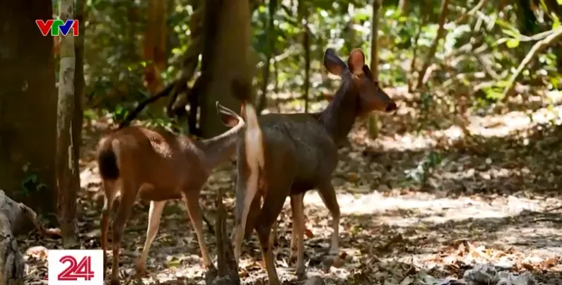 B&agrave; Rịa - Vũng T&agrave;u: Đẩy mạnh ph&aacute;t triển sinh th&aacute;i đa dạng c&aacute;c loại h&igrave;nh du lịch - Ảnh 3.
