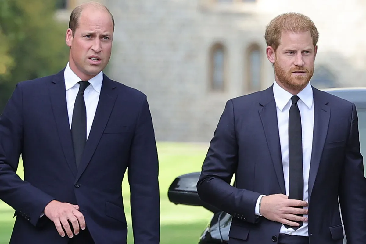 Mối quan hệ giữa anh em Hoàng tử Harry - William tiếp tục bị chú ý - Ảnh 1.