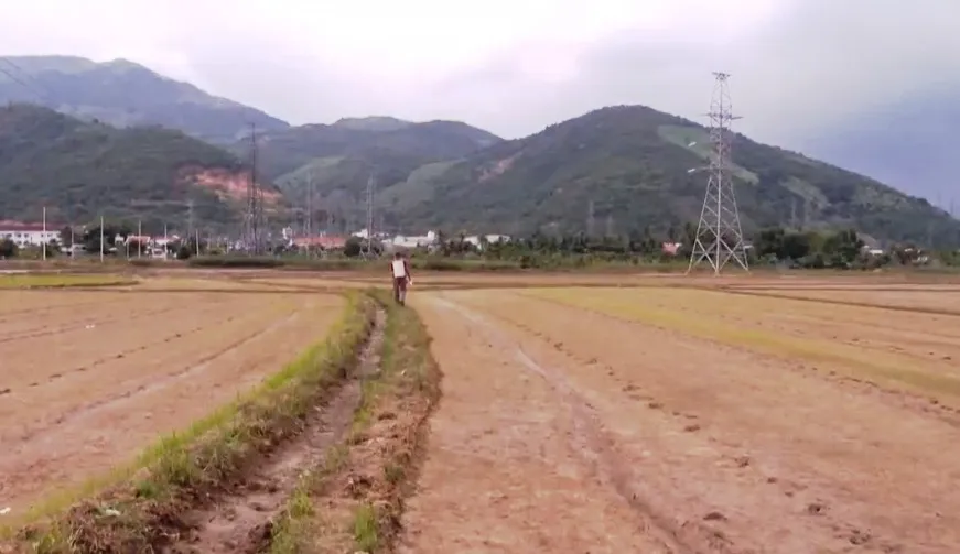 Tương lai Nha Trang không còn đất lúa, đất nuôi trồng thủy sản - Ảnh 1.