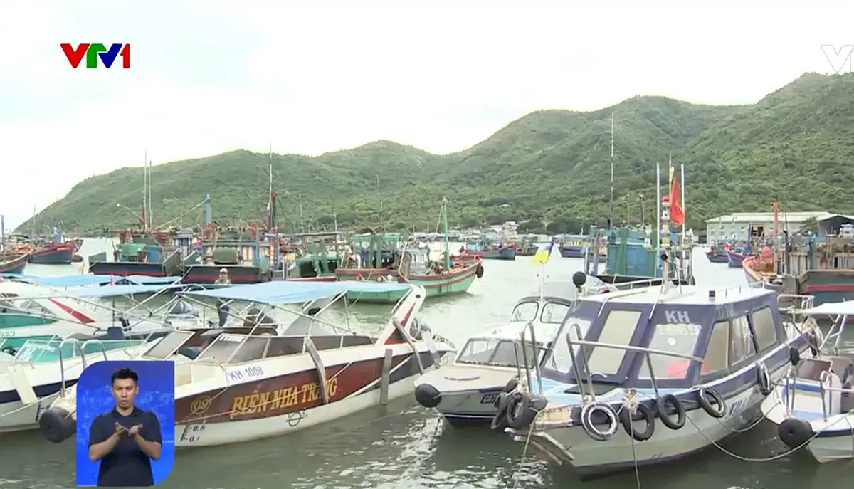 Gió mùa Đông Bắc mạnh gây thiệt hại tại Kiên Giang - Ảnh 1. Gió mùa Đông Bắc mạnh gây thiệt hại tại Kiên Giang - Ảnh 1.
