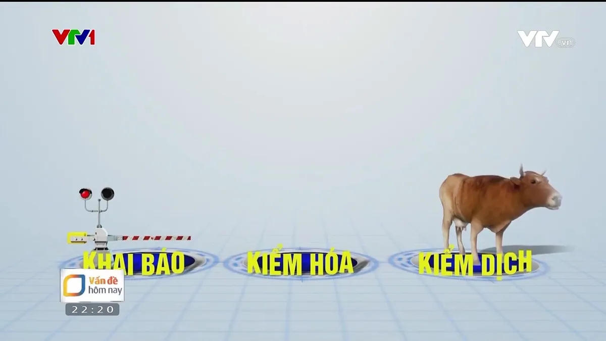 Làm sao để thực phẩm bẩn không len lỏi vào bữa ăn ngày Tết? - Ảnh 2.