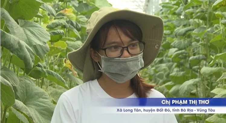 N&ocirc;ng nghiệp B&agrave; Rịa - Vũng T&agrave;u ph&aacute;t triển theo hướng bền vững - Ảnh 1.