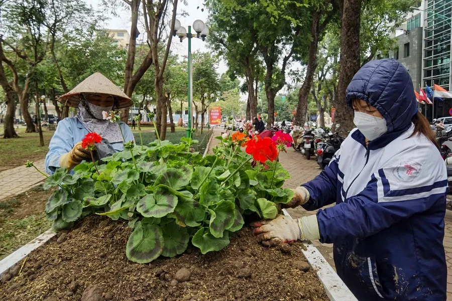 Không gian đi bộ quanh hồ Thiền Quang trang hoàng đẹp mắt trước ngày khai trương - Ảnh 15.