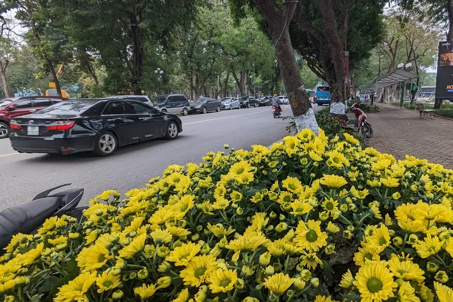 Không gian đi bộ quanh hồ Thiền Quang trang hoàng đẹp mắt trước ngày khai trương - Ảnh 11.