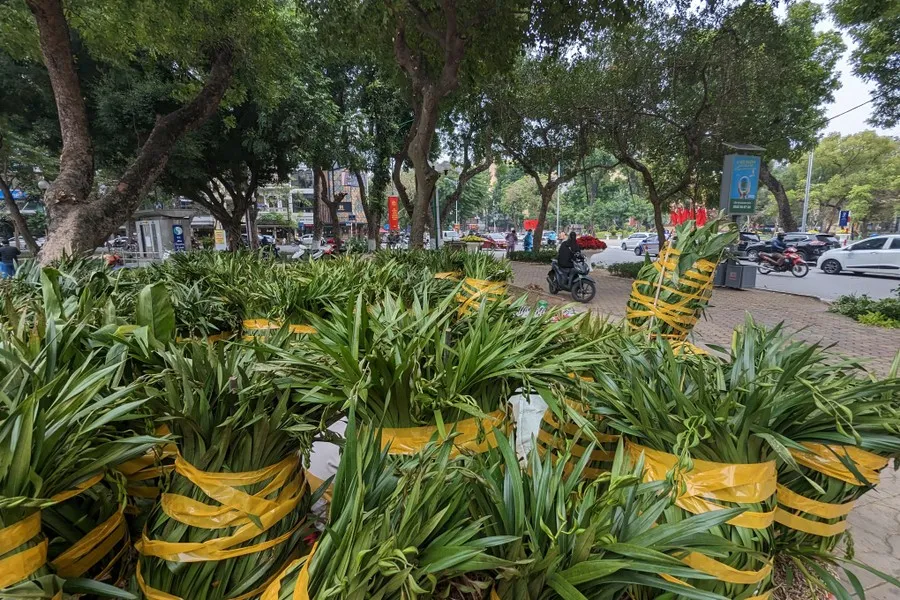 Không gian đi bộ quanh hồ Thiền Quang trang hoàng đẹp mắt trước ngày khai trương - Ảnh 13.