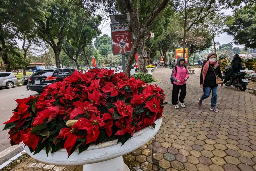 Không gian đi bộ quanh hồ Thiền Quang trang hoàng đẹp mắt trước ngày khai trương - Ảnh 16.