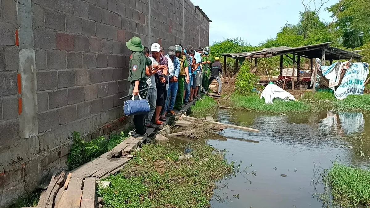 Triệt phá trường gà quy mô lớn tại TP Phan Thiết, tỉnh Bình Thuận - Ảnh 1.