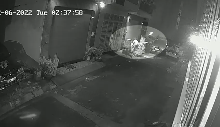 2 thanh niên lái xe ba gác đi trộm mai về chơi Tết - Ảnh 2. 2 thanh niên lái xe ba gác đi trộm mai về chơi Tết - Ảnh 2.