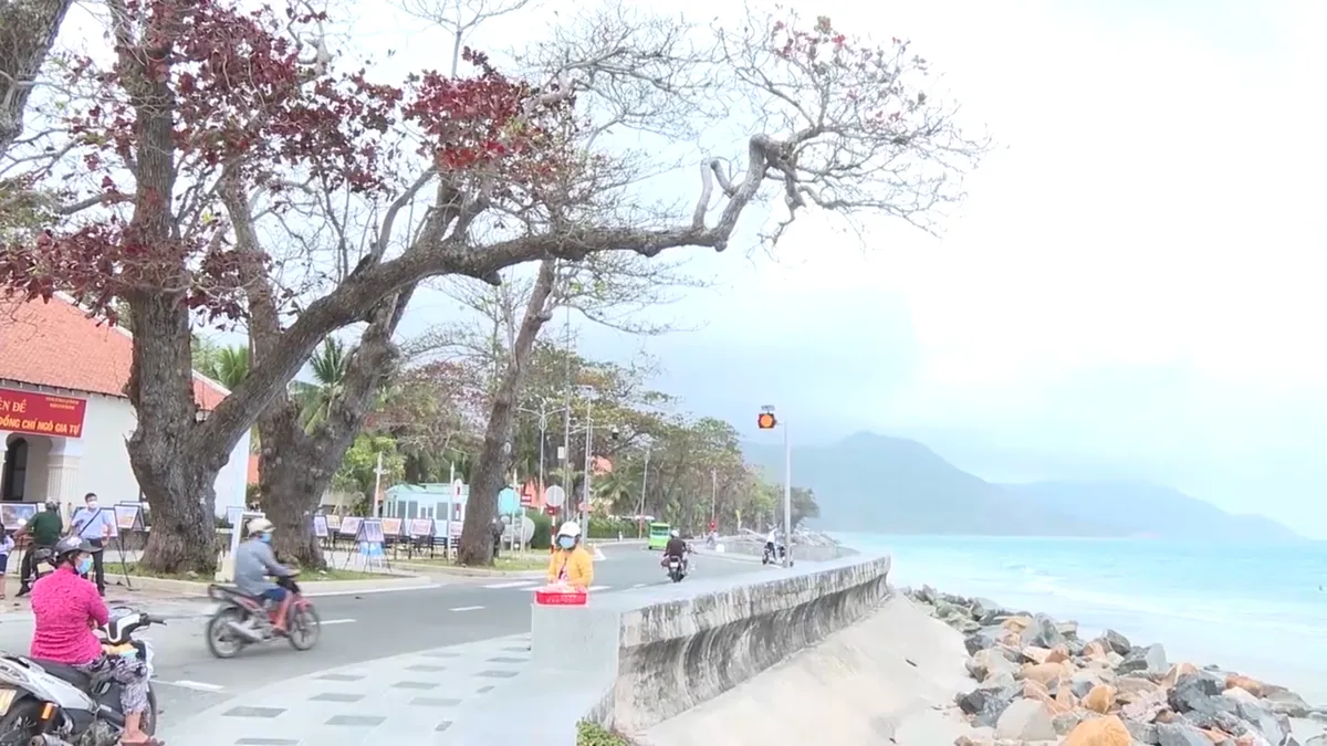 Côn Đảo: Đẹp thơ mộng, ngỡ ngàng mùa Bàng thay lá - Ảnh 7.