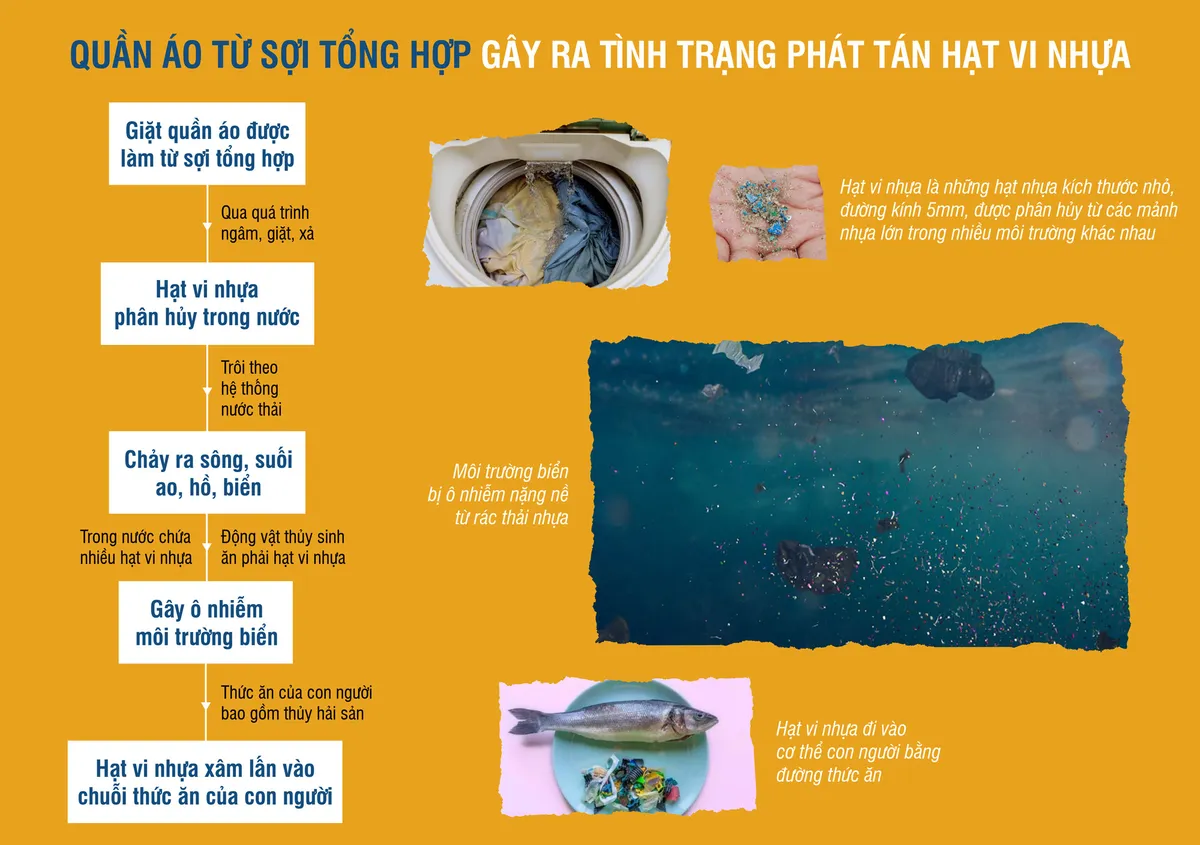 Vì sao cần phát triển thời trang bền vững? - Ảnh 4.