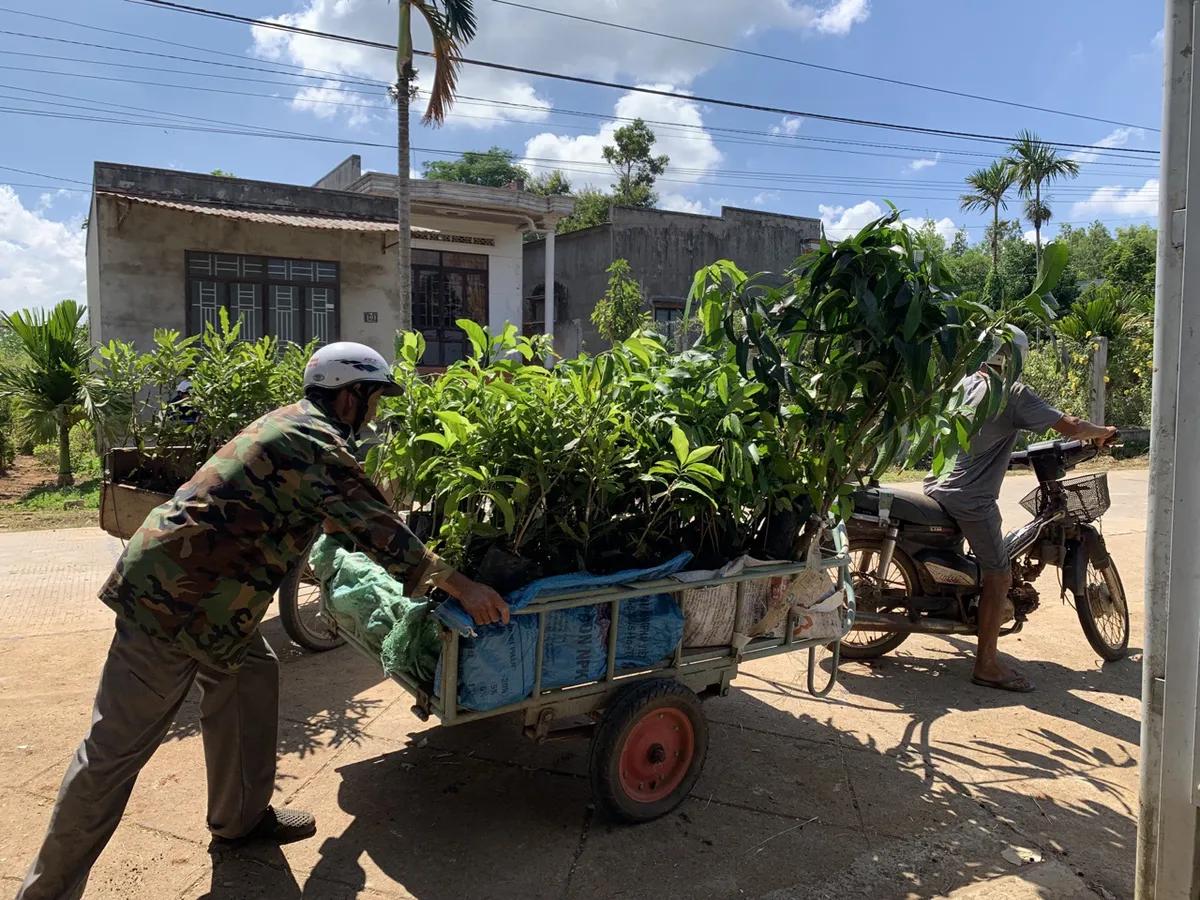 Trồng h&agrave;ng ng&agrave;n c&acirc;y xanh, Puratos Grand-Place Việt Nam &ldquo;t&aacute;i đầu tư&rdquo; cho m&ocirc;i trường - Ảnh 2.