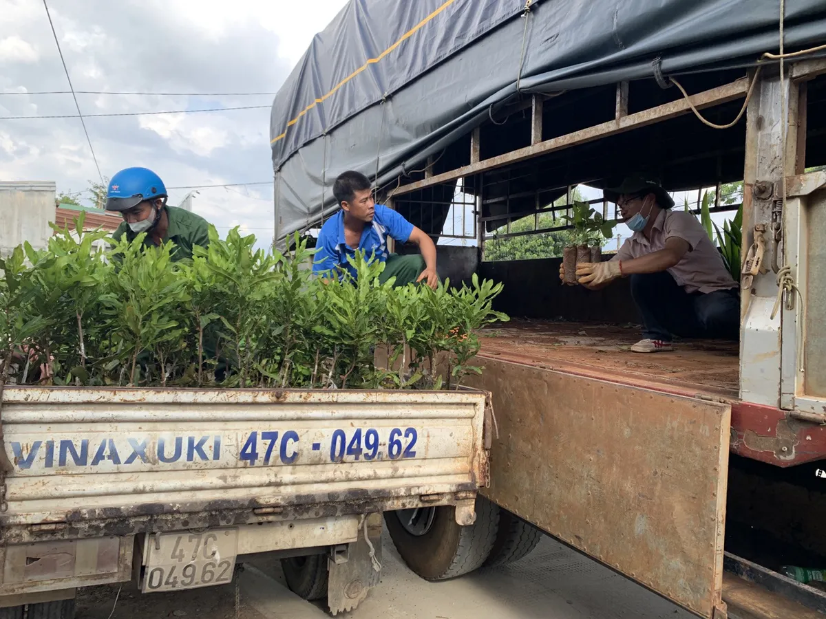 Trồng h&agrave;ng ng&agrave;n c&acirc;y xanh, Puratos Grand-Place Việt Nam &ldquo;t&aacute;i đầu tư&rdquo; cho m&ocirc;i trường - Ảnh 4.