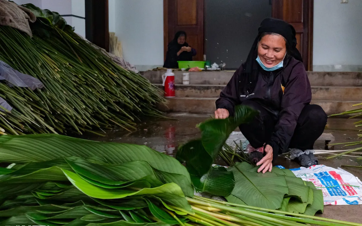 Người dân làng lá dong Tràng Cát tất bật “hái lá đếm tiền” - Ảnh 1.