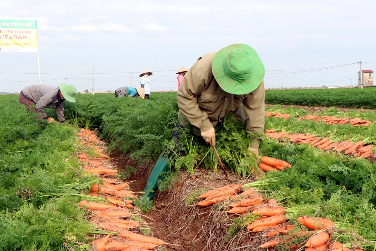 Doanh nghiệp hối hả làm việc sau kỳ nghỉ Tết - Ảnh 1.