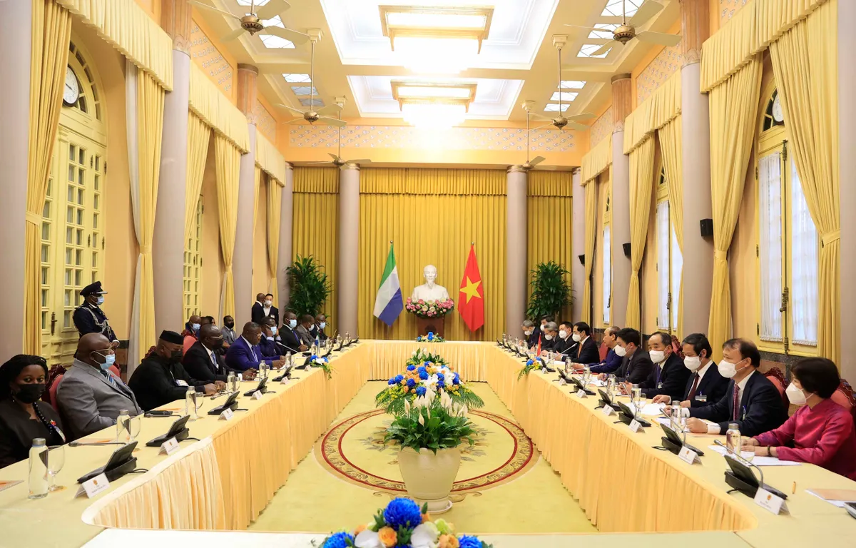 Việt Nam v&agrave; Sierra Leone tăng cường hợp t&aacute;c trong lĩnh vực trọng t&acirc;m - Ảnh 3.