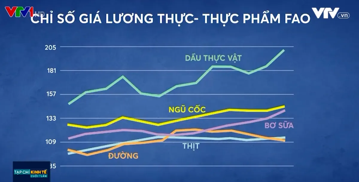 Căng thẳng Nga - Ukraine: Chiếc bánh mỳ tại Ai Cập đến nguy cơ khủng hoảng lương thực  toàn cầu - Ảnh 3.