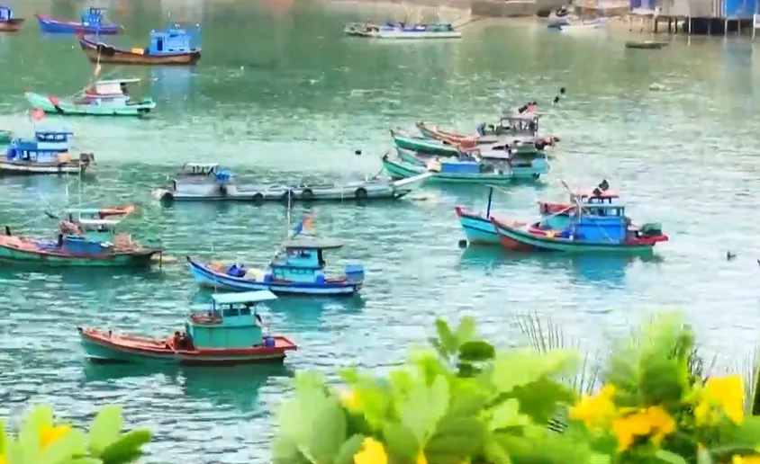 Những người bám đảo, giữ biển - Ảnh 4. Những người bám đảo, giữ biển - Ảnh 4.