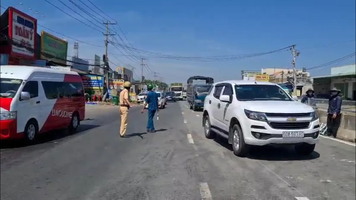 Cầu vượt Dầu Gi&acirc;y ch&iacute;nh thức th&ocirc;ng xe - Ảnh 1.