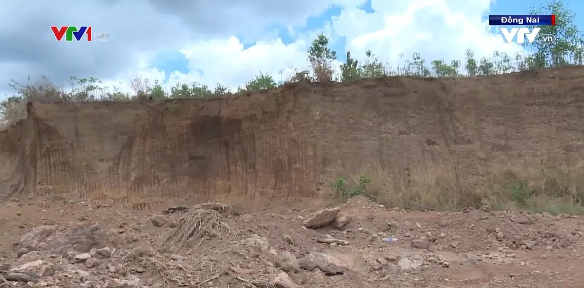 Những quả đồi chạy tại Đồng Nai - Ảnh 1.