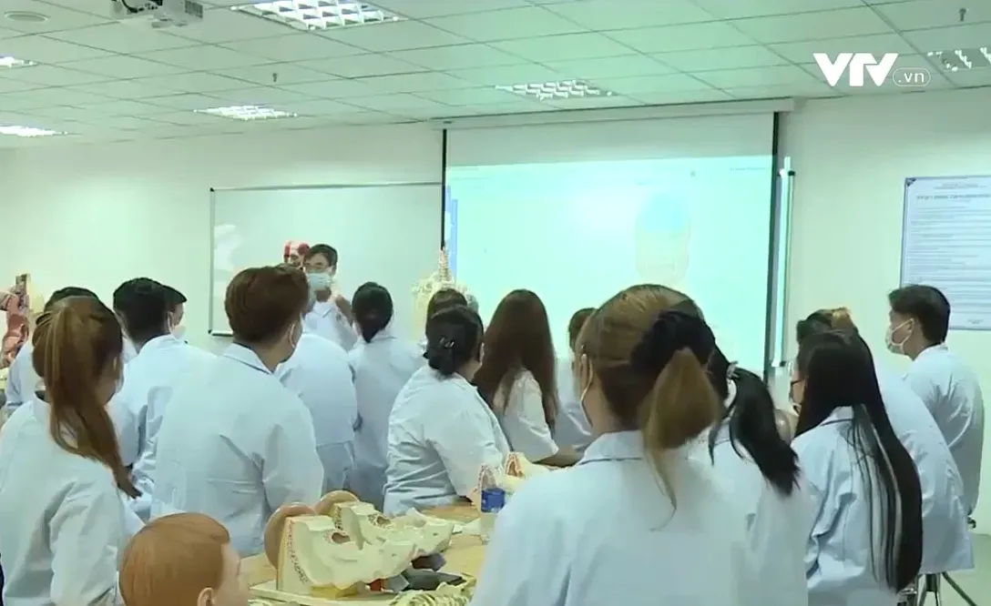 Nhiều trường đại học, cao đẳng mở ng&agrave;nh mới đ&aacute;p ứng nhu cầu nh&acirc;n lực - Ảnh 1.