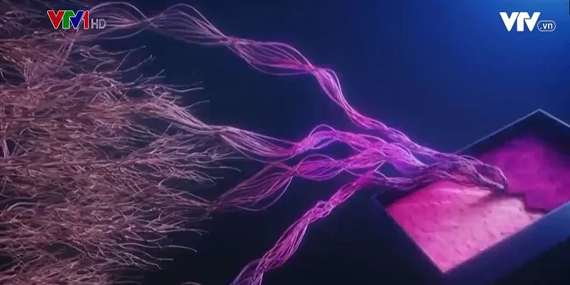 Những m&oacute;n đồ độc lạ được l&agrave;m từ... da nấm - Ảnh 2.