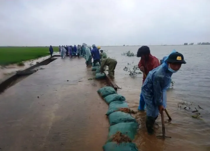 Bộ đội đắp đê ngăn lũ cứu lúa, đảm bảo giao thông vùng lũ - Ảnh 1.