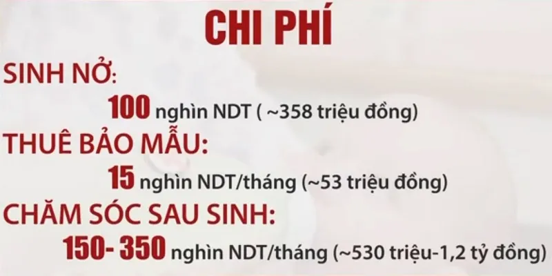 Vì sao giới trẻ tại Trung Quốc có xu hướng ngại sinh con? - Ảnh 1.