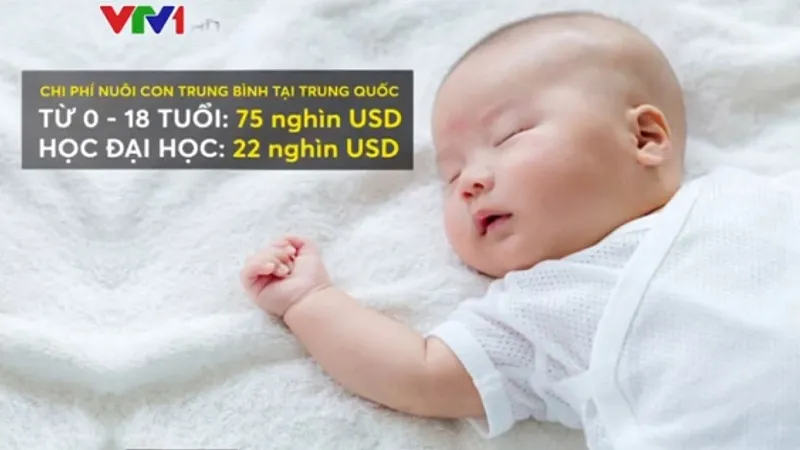 Vì sao giới trẻ tại Trung Quốc có xu hướng ngại sinh con? - Ảnh 2.