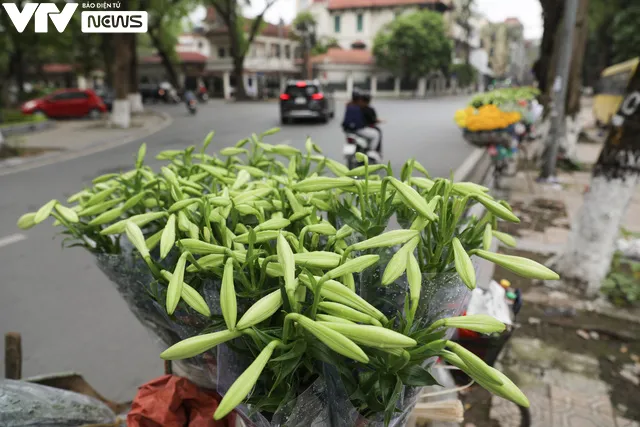 Hà Nội: Hoa loa kèn xuống phố, báo hiệu mùa hè sắp tới - Ảnh 4.