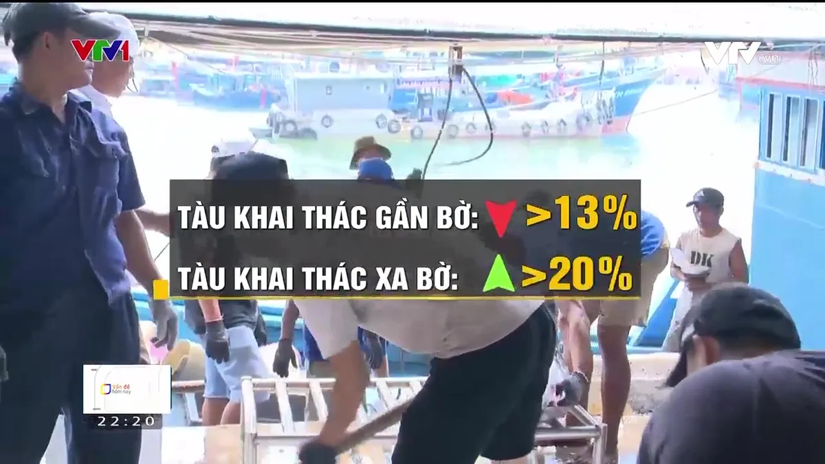 Nhiều ngư dân đóng tàu vỏ thép không trả được nợ: Làm sao để tháo gỡ? - Ảnh 1.