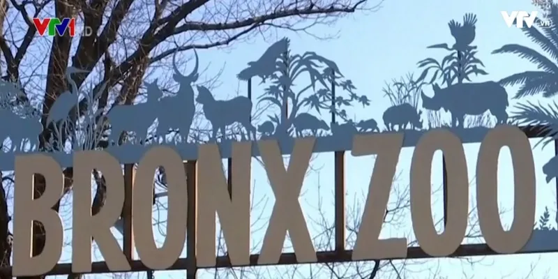 Phi&ecirc;n t&ograve;a đ&ograve;i nh&acirc;n quyền cho voi tại Mỹ - Ảnh 1.