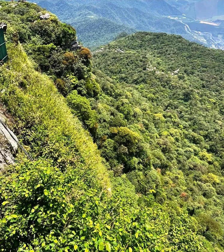 Người phụ nữ sống sót kỳ diệu sau 7 ngày rơi xuống vực sâu ở Yên Tử - Ảnh 1.