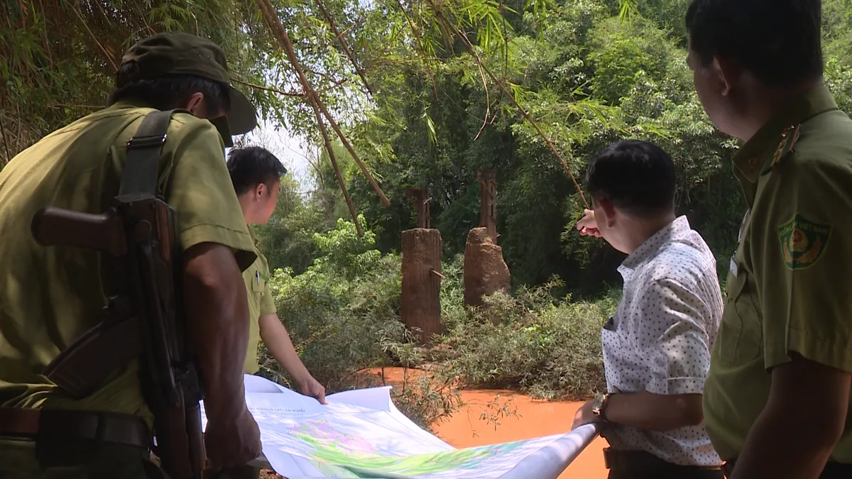 X&acirc;y cầu M&atilde; Đ&agrave; nối B&igrave;nh Phước với Đồng Nai: Đề xuất tr&aacute;nh l&agrave;m đường qua v&ugrave;ng l&otilde;i - Ảnh 1.