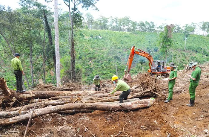 Lâm Đồng thu hồi nhiều dự án du lịch, nghỉ dưỡng triển khai chậm tiến độ - Ảnh 1.