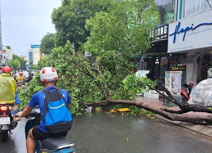 Mưa đá xuất hiện ở TP Hồ Chí Minh - Ảnh 1.