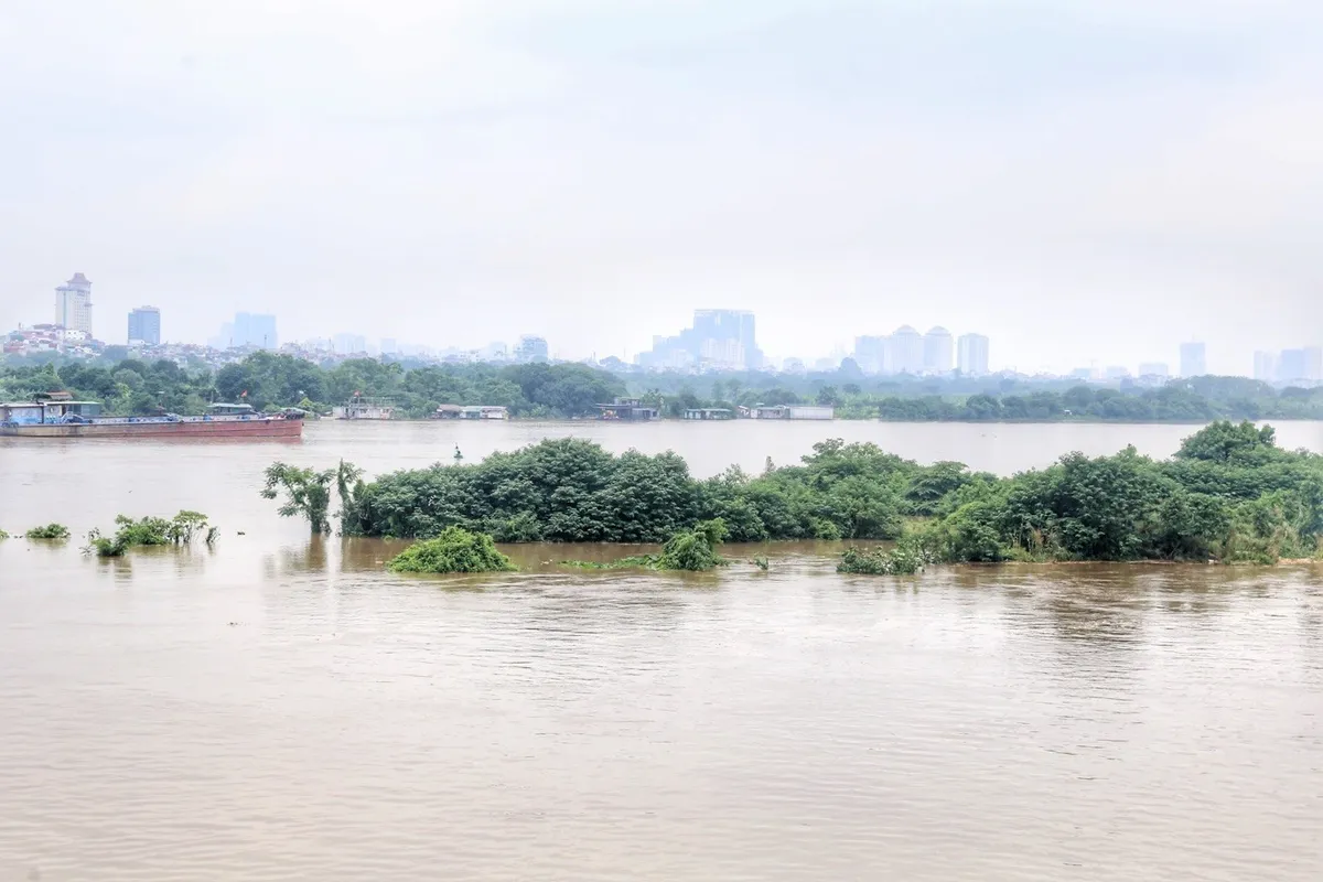 Mực nước sông Hồng tại Hà Nội lên cao - Ảnh 5. Mực nước sông Hồng tại Hà Nội lên cao - Ảnh 5.