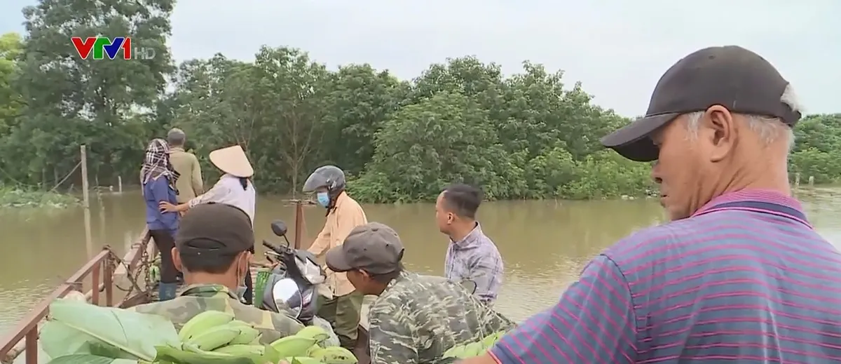 Bãi giữa sông Hồng ngập sâu, người dân phải dùng đò di chuyển - Ảnh 1.