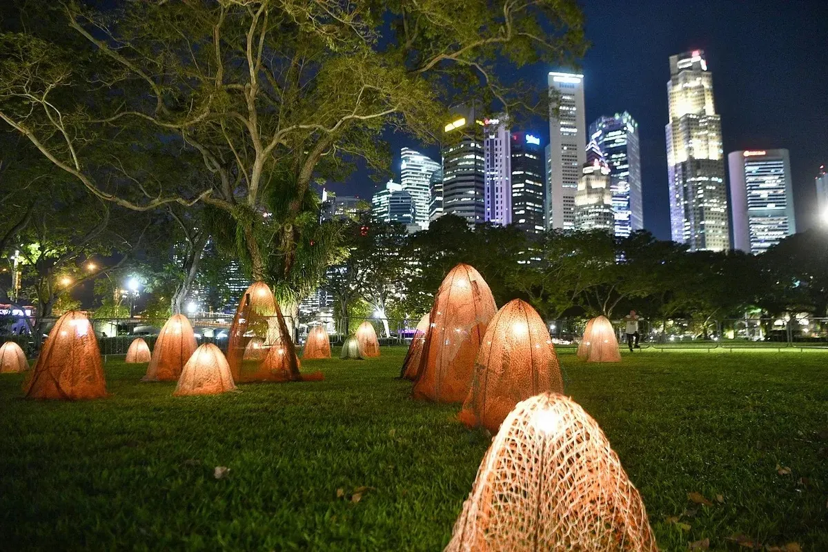 Lễ hội i Light Singapore trở lại sau hai năm với đom đóm điện tử và sứa ngoài hành tinh - Ảnh 3.