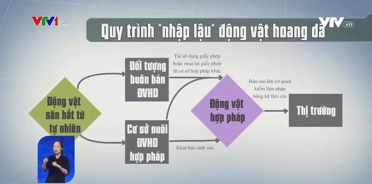 Có dấu hiệu nhập lậu động vật hoang dã vào các cơ sở nuôi bảo tồn? - Ảnh 1.