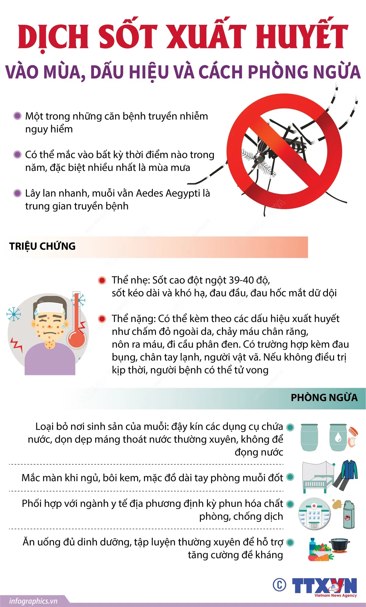 [INFOGRAPHIC] Dịch sốt xuất huyết diễn biến phức tạp tại các tỉnh miền Tây - Ảnh 2.